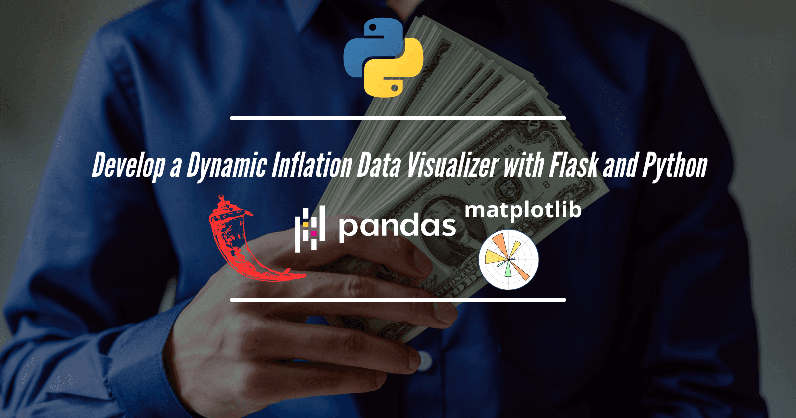Develop a Dynamic Inflation Data Visualizer with Flask Python Matplot Pandas